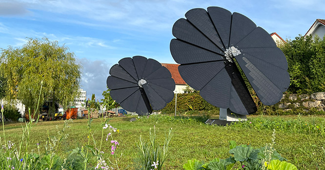 Zwei geöffnete Smartflower Anlagen wenden sich zur Sonnenseite