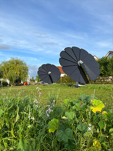 Zwei Smartflower Photovoltaik-Anlagen aus Ameisenperspektive
